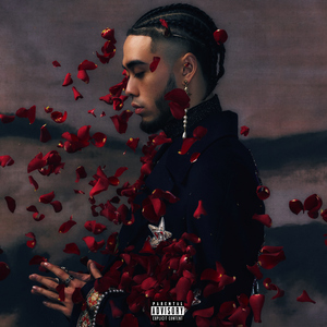 曰本黄色一级片
