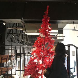 曰本黄色一级片
