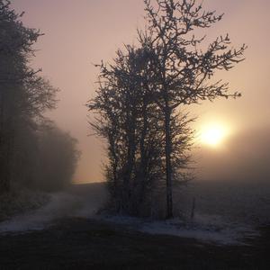 曰本黄色一级片
